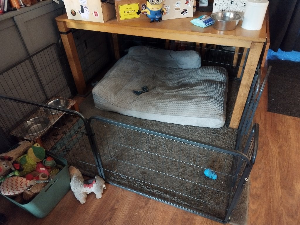 Puppyren, Dieren en Toebehoren, Hondenbenches, Ophalen, Zo goed als nieuw