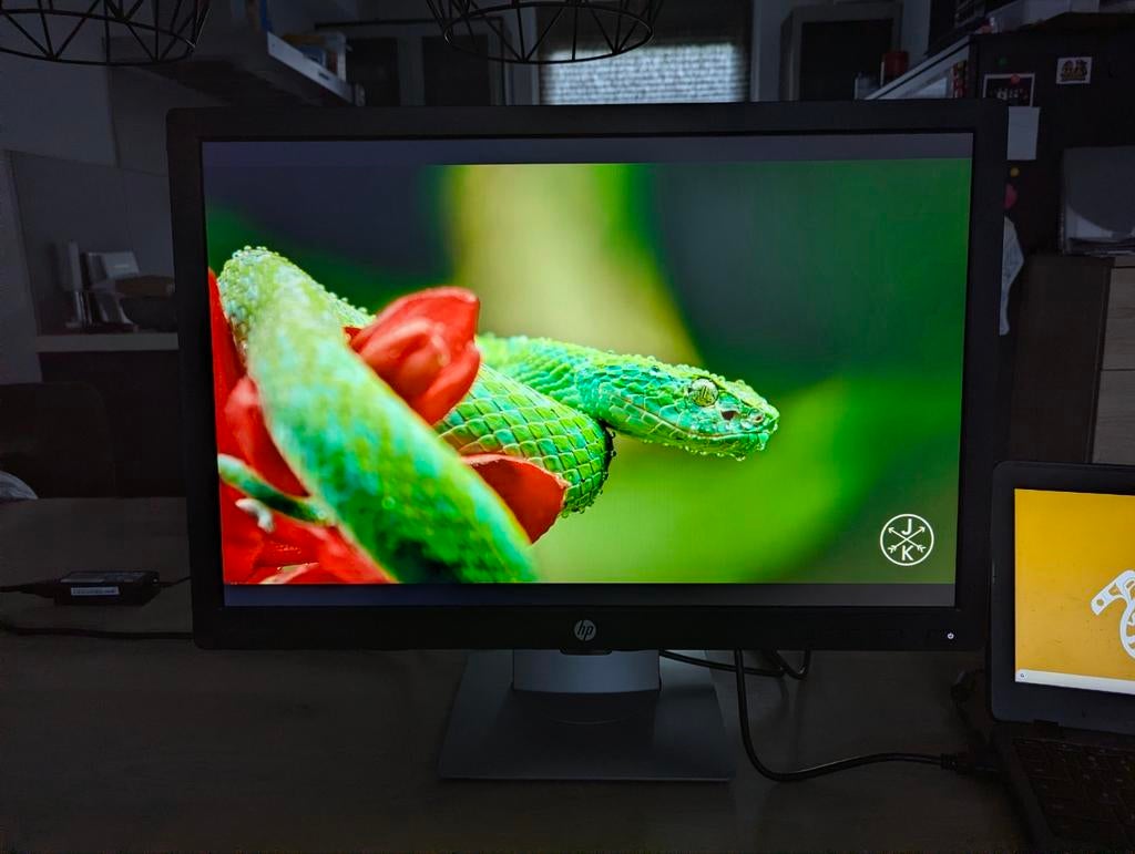 Keurige grote HP E242 IPS LCD monitor 24" 1900x1200, Ophalen, Gebruikt, IPS, Full HD