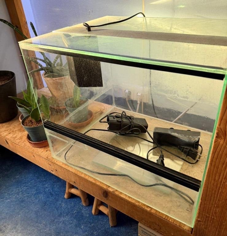 Reptielen terrarium gekkos schildpaden verlichting, Dieren en Toebehoren, Ophalen of Verzenden