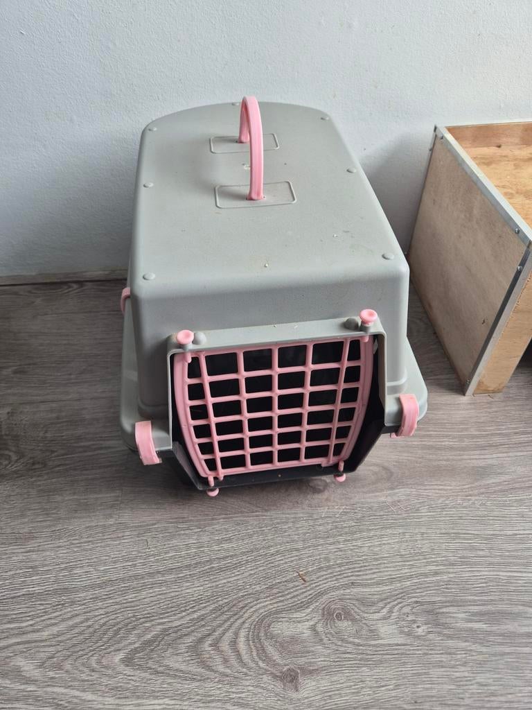 Reismand konijn/Cavia/Kat, Dieren en Toebehoren, Ophalen