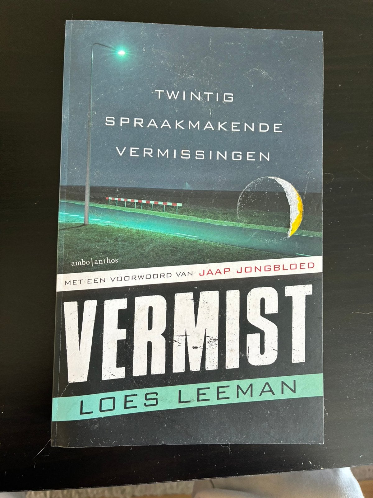 Vermist - Loes Leeman, Ophalen of Verzenden, Zo goed als nieuw, Overige onderwerpen