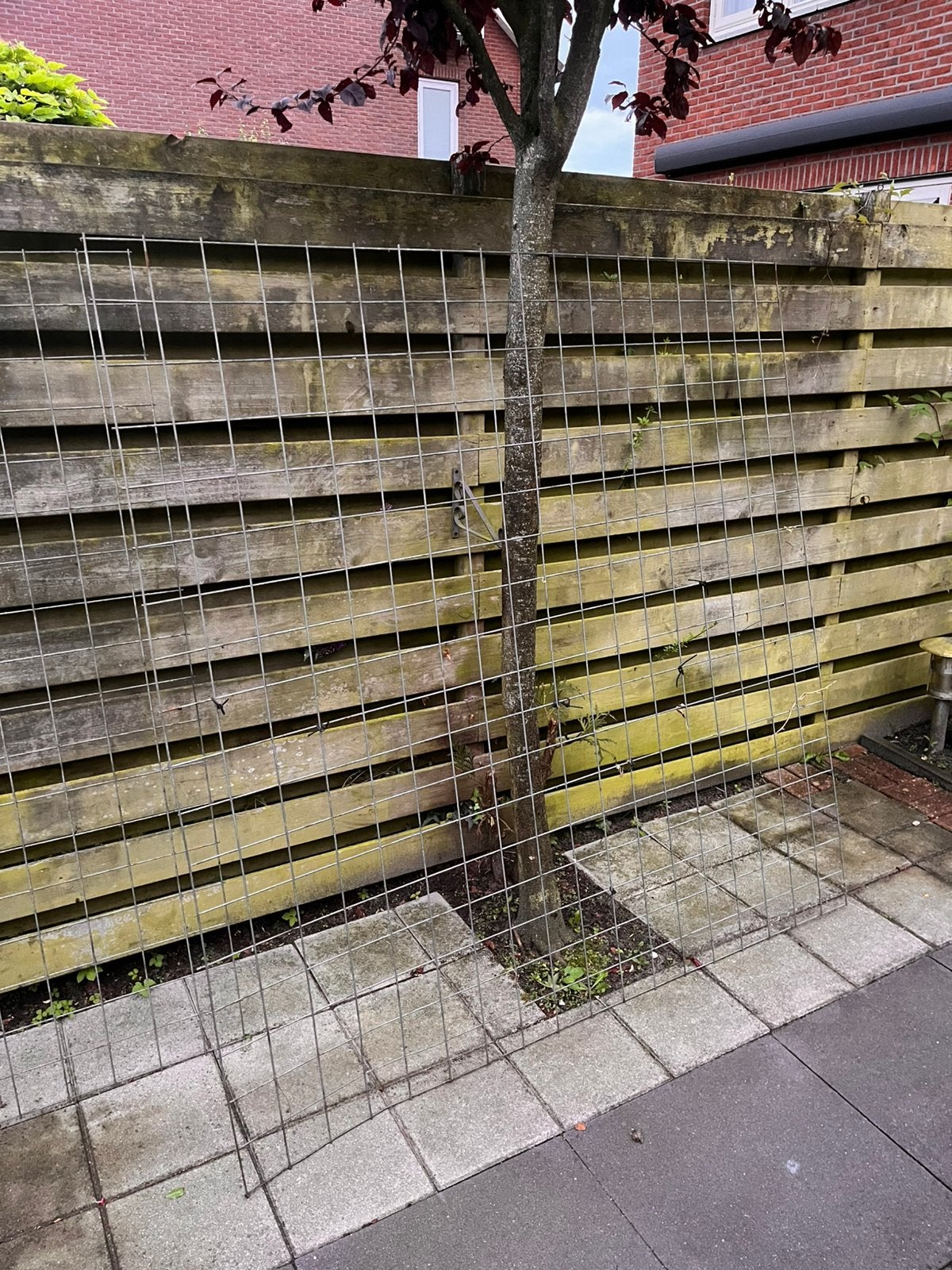 2 gaaspanelen 180x180, Tuin en Terras, Schuttingen, Ophalen, Minder dan 3 meter, IJzer, 1 tot 2 meter