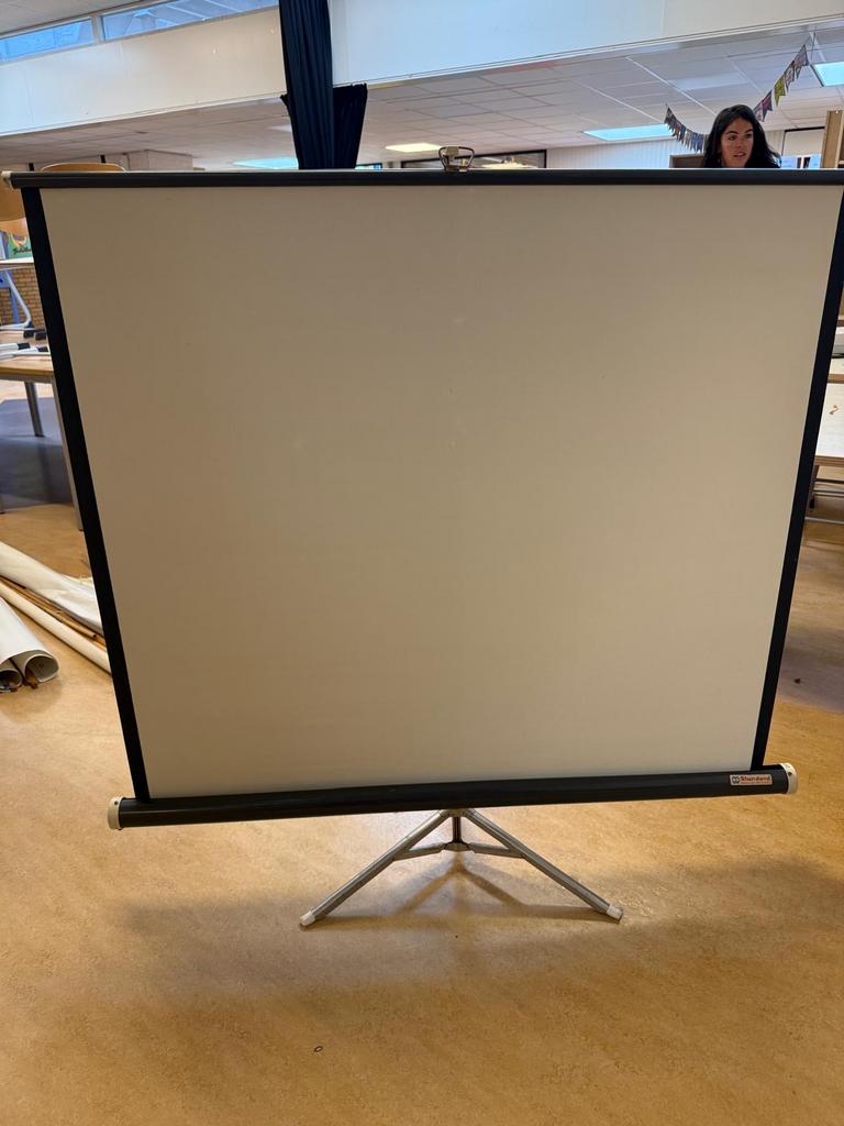 Projectiescherm op statief - Standaard, Audio, Tv en Foto, Projectieschermen, Ophalen, Handmatig, Gebruikt