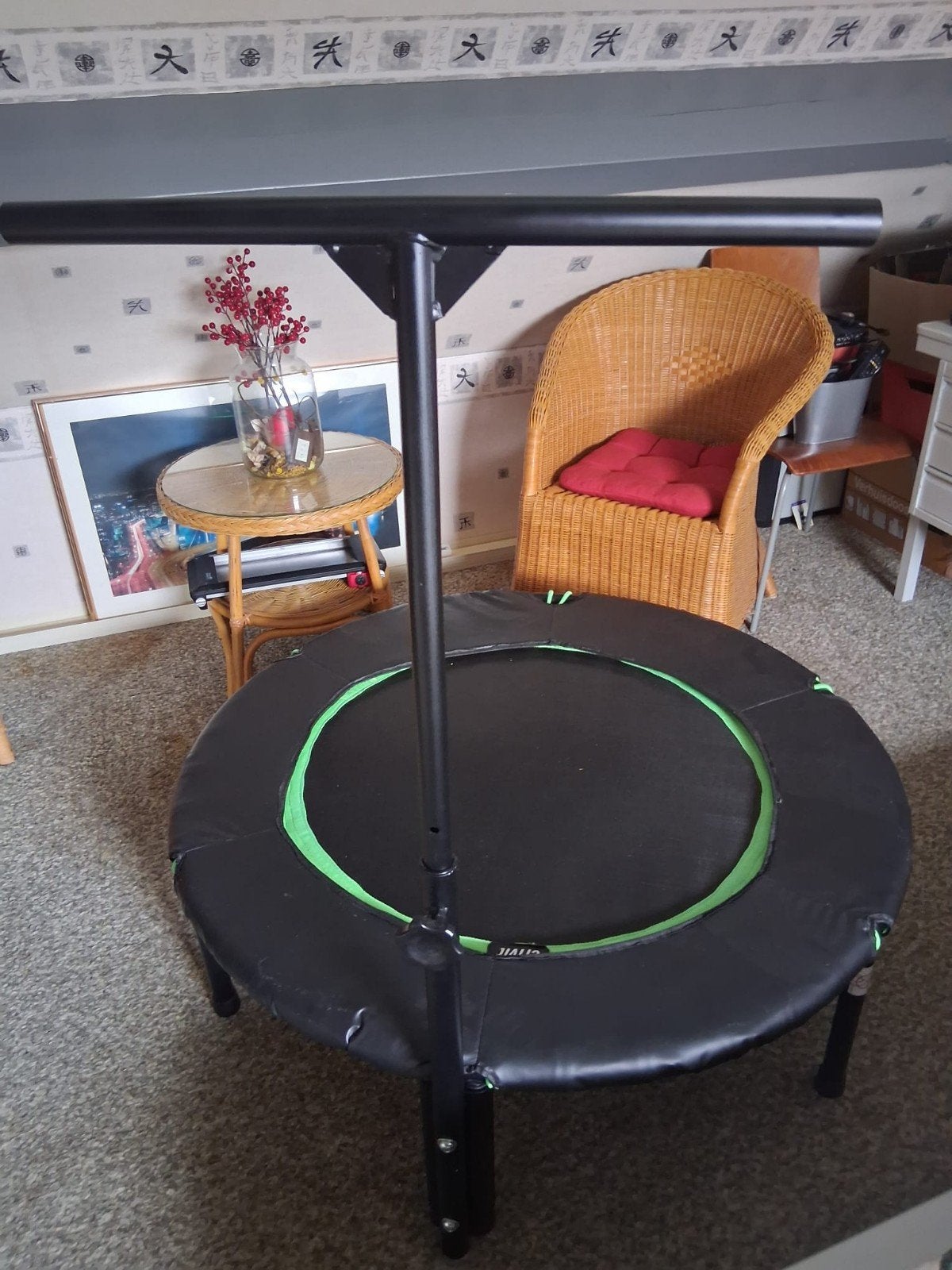 Trampoline te koop, Ophalen, Zo goed als nieuw