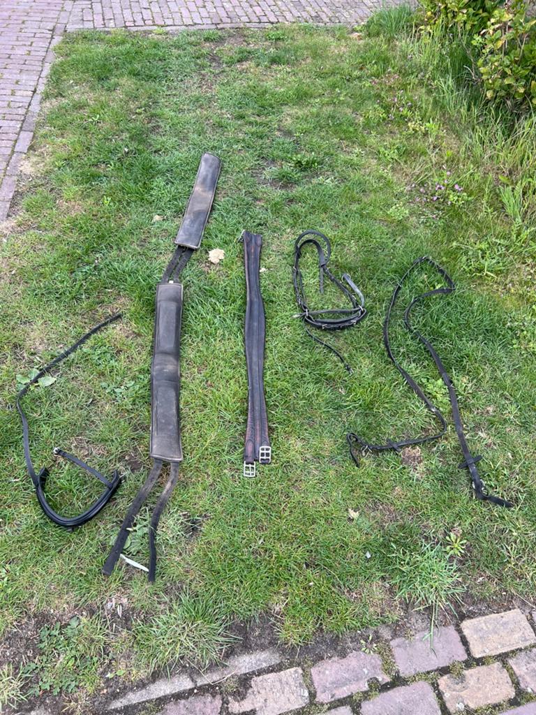 Longeersingel, zadelsteun, leren singel, bitlooshoofdstel, Dieren en Toebehoren, Paarden en Pony's | Overige Paardenspullen, Ophalen