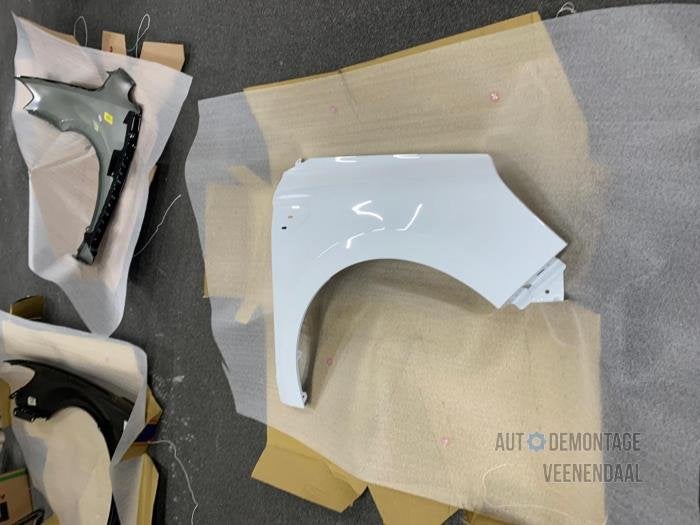 Scherm rechts-voor van een Renault Clio (OV369), -, Renault, -, Nieuw