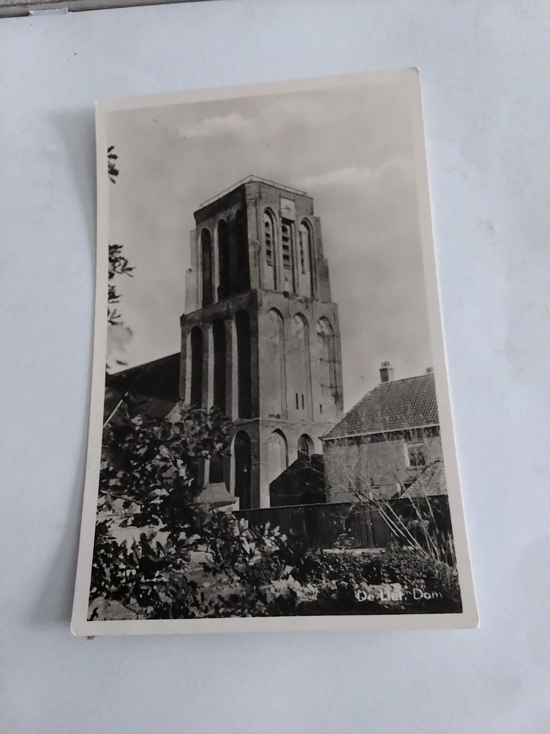 DE  LIER.  DOM, Ophalen of Verzenden, Voor 1920, Zuid-Holland
