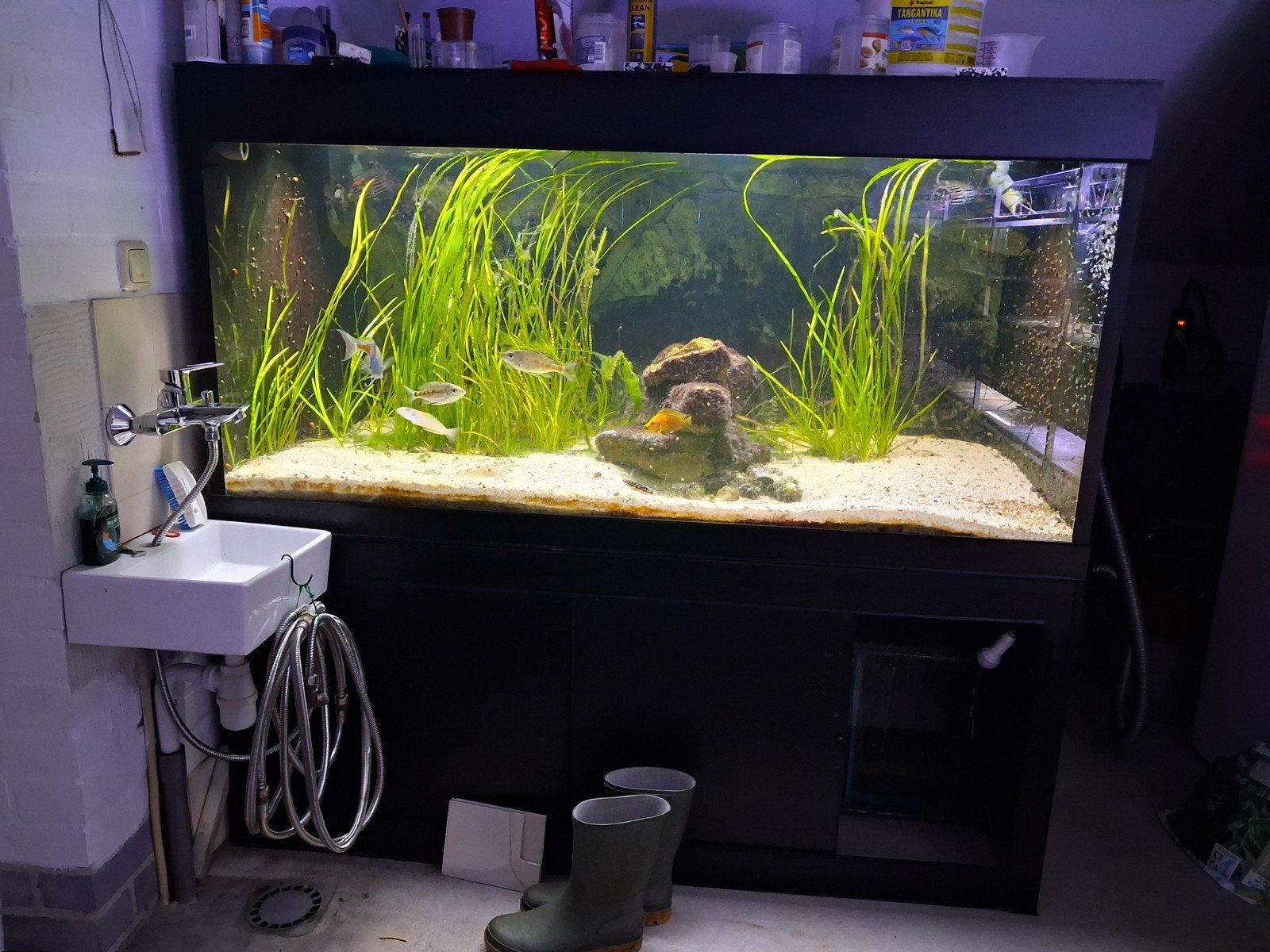 Groot Aquarium 1400 liter 1600x1200mm, Ophalen, Leeg aquarium