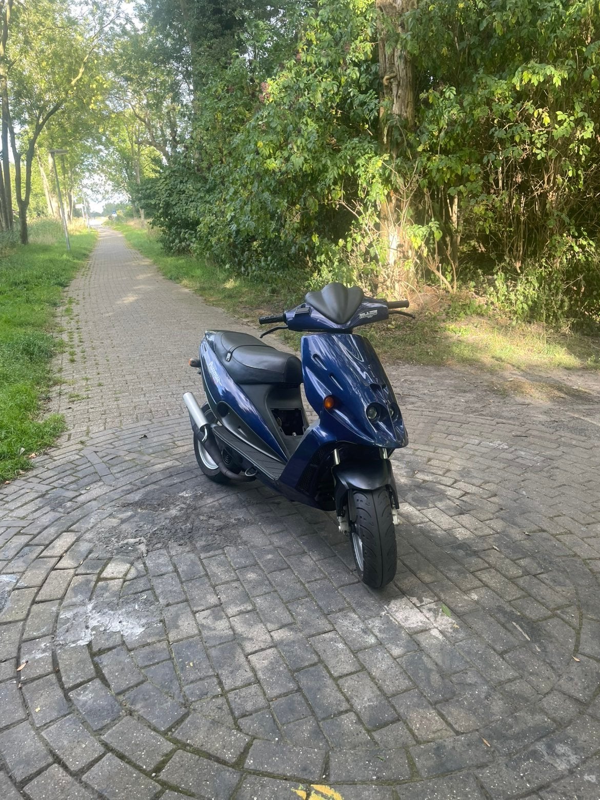 Malaguti Phantom F12 50cc, Ophalen, Tweetakt, Maximaal 45 km/u, Zo goed als nieuw
