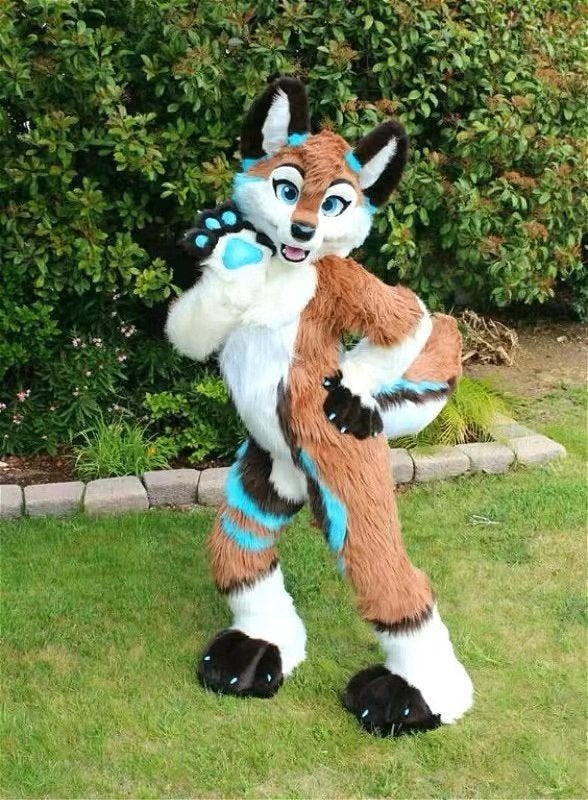 Hond Fursuit Honden Furry Suit Fur Suit Pak Harig Cosplay, Hobby en Vrije tijd, Kostuums, Theaterbenodigdheden en LARP, Verzenden