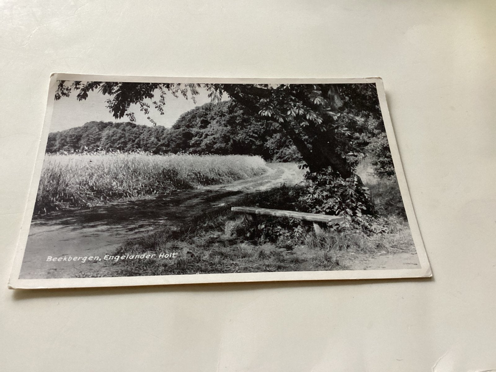 Oude ansichtkaart Beekbergen, Engeland Holter, Ophalen of Verzenden, Voor 1920, Ongelopen, Gelderland