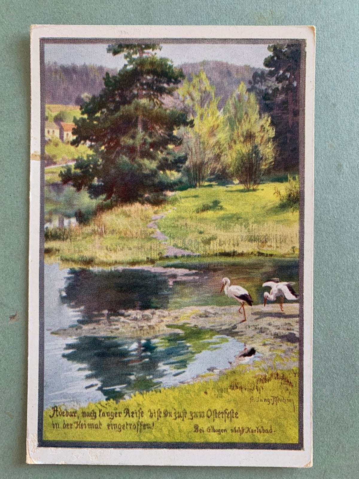 1981 Ooievaars, Ophalen of Verzenden, 1980 tot heden, Gelopen, Vogel