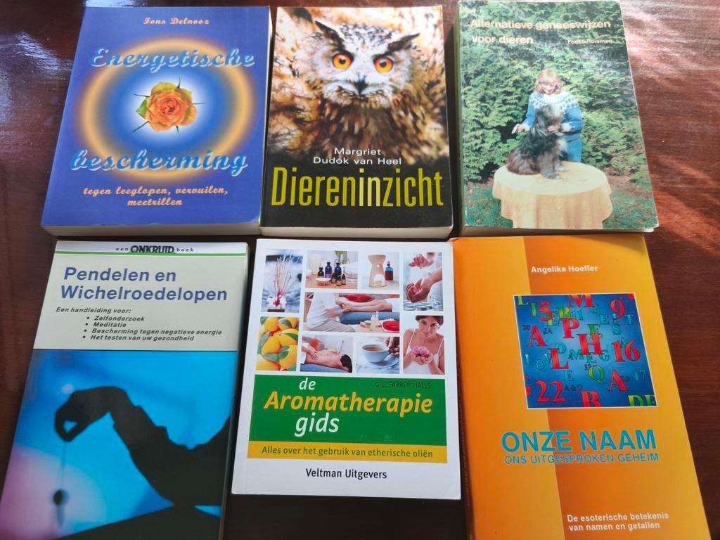 Diverse boeken over spiritualiteit en welzijn, Boeken, Ophalen of Verzenden, Gelezen
