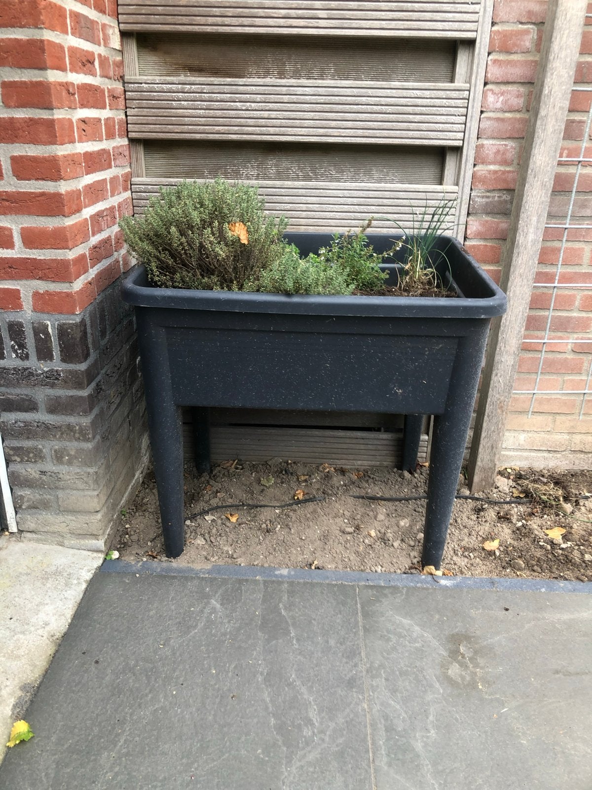 Elho Kweektafel XXL - Ideaal voor moestuin of kruidentuin, Tuin en Terras, Ophalen, Gebruikt, Kweektafel