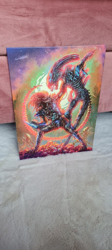 Limited Edition Displate Alien versus Predator, Rechthoekig Staand, Nieuw, Ophalen of Verzenden, A1 t/m A3