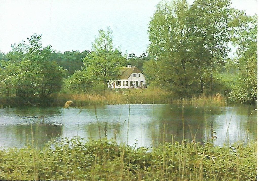 Bergeyk- -Viskwekerij Heidemij O.V.B., Verzenden, 1960 tot 1980, Ongelopen, Noord-Brabant