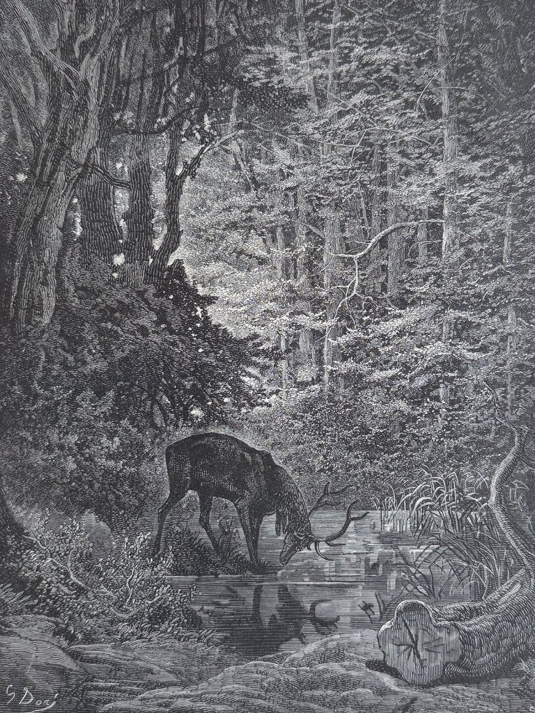 Gustave Doré - Antieke houtgravure - Hert bij beek - Aesop, Antiek en Kunst, Verzenden, Gravure, Flora en Fauna, Blanco verso