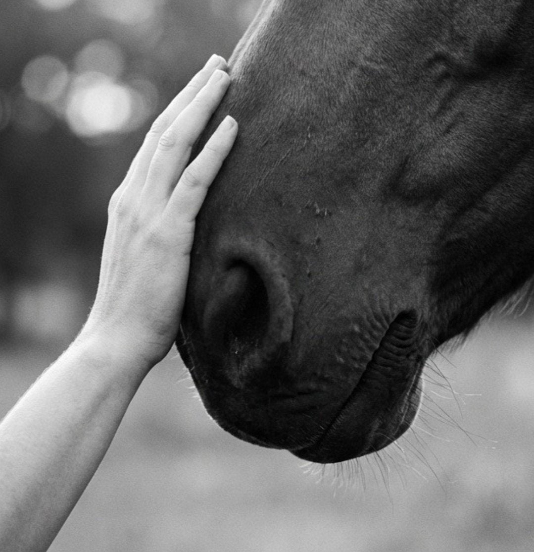 Hoofs & Bars, unieke ervaring, Vacatures, 33 - 40 uur, Vanaf 10 jaar, Overige vormen