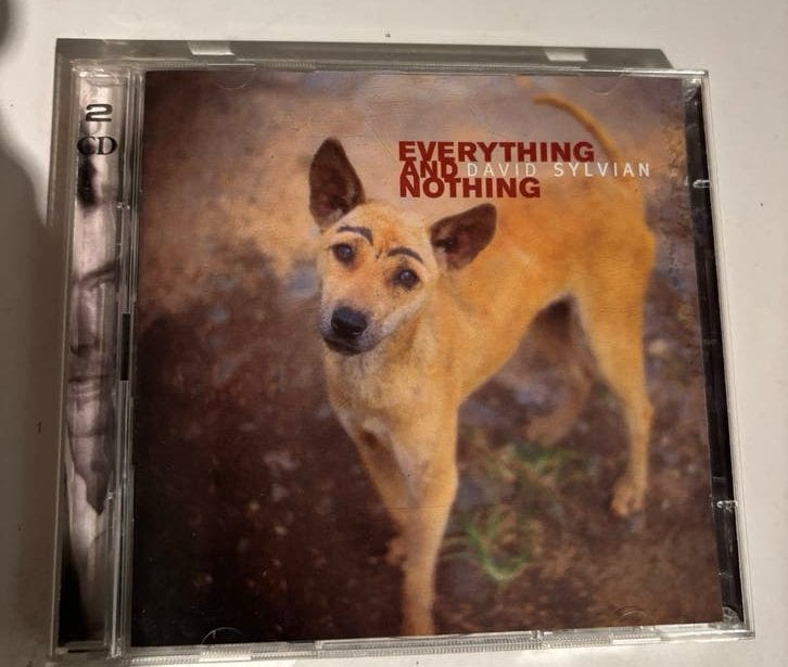 David Sylvian - Everything and Nothing (2CD), Ophalen of Verzenden, Verzamelalbum, Inclusief doosje