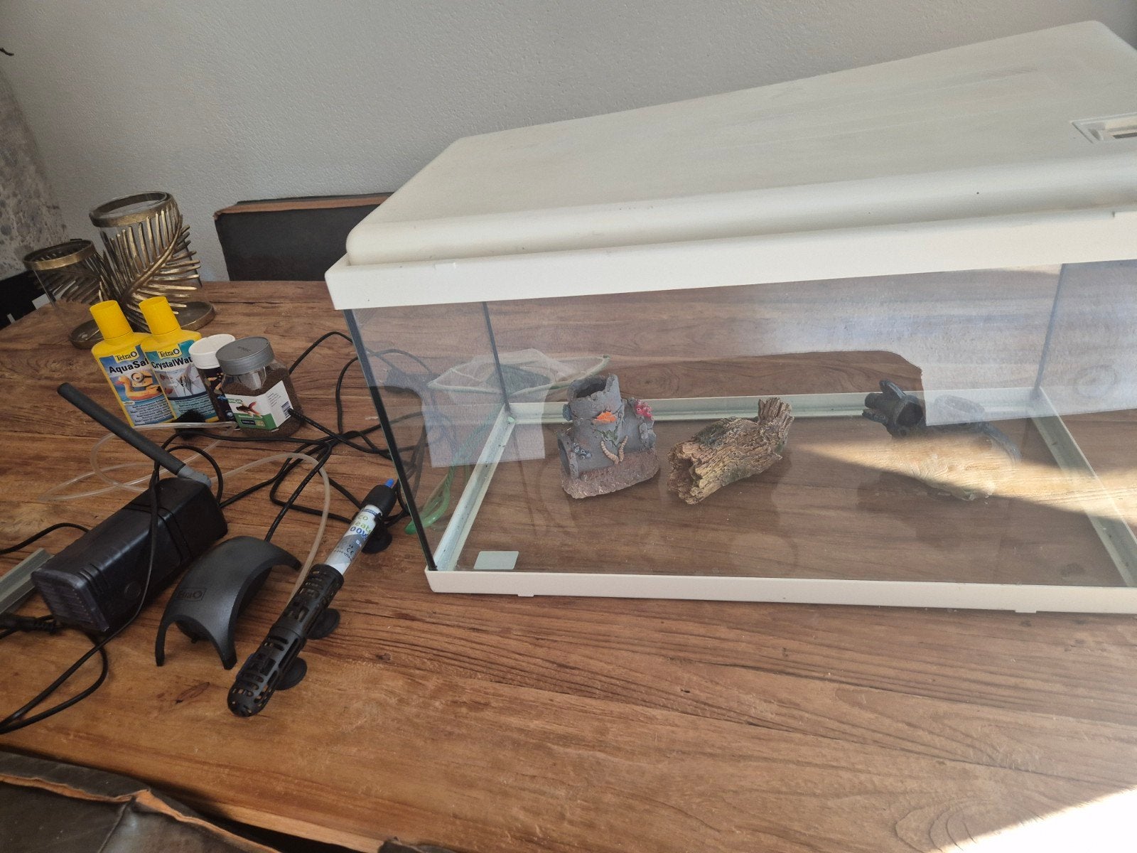 vissen aquarium, Dieren en Toebehoren, Ophalen