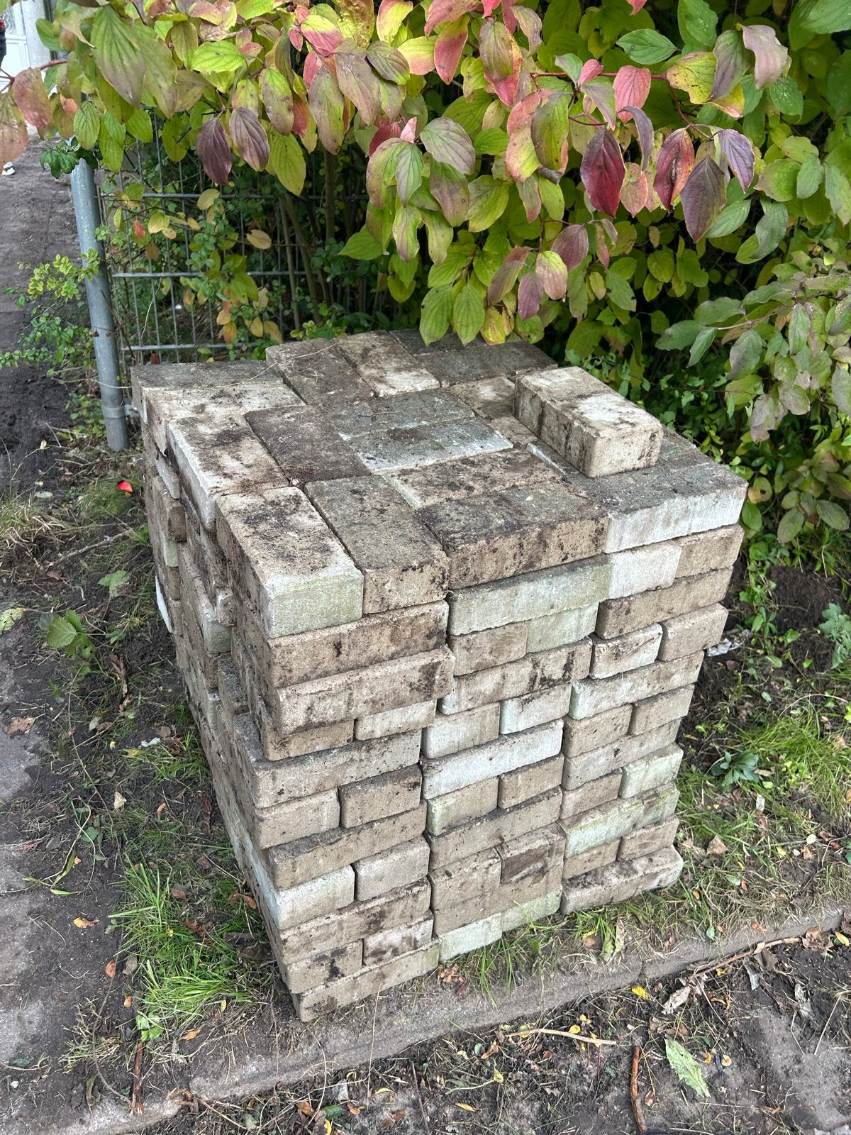 Ongeveer 1000 gebruikte tegels, Tuin en Terras, Ophalen, Gebruikt, 10 m² of meer, Beton