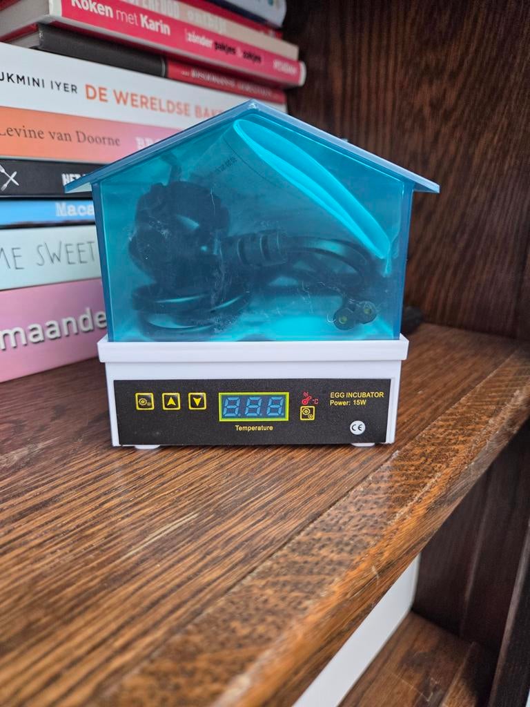 Broedmachine voor 4 eieren, Geslacht onbekend, Kip