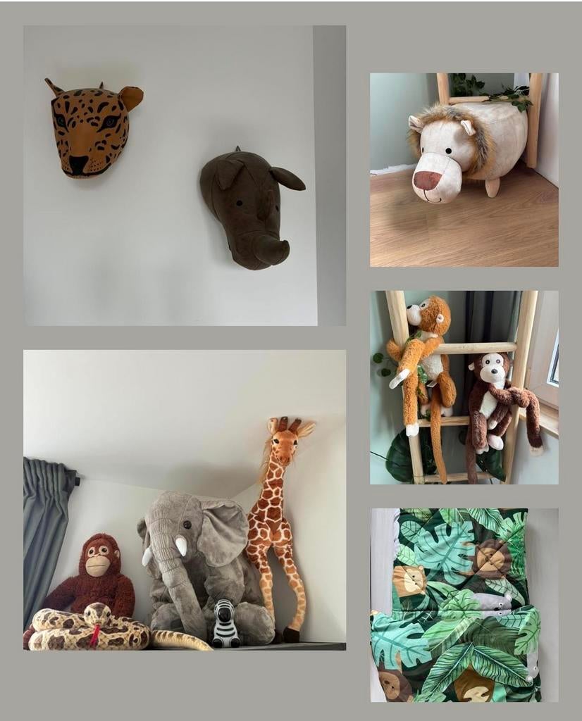 Jungle kamer accessoires, Ophalen, Gebruikt, Wanddecoratie