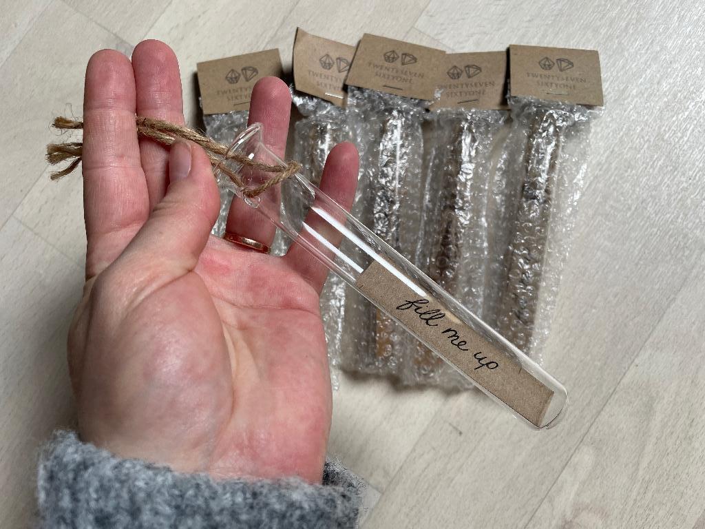 6 glazen reageerbuisjes voor stekjes/plantjes, Overige kleuren, Nieuw, Ophalen of Verzenden, Glas