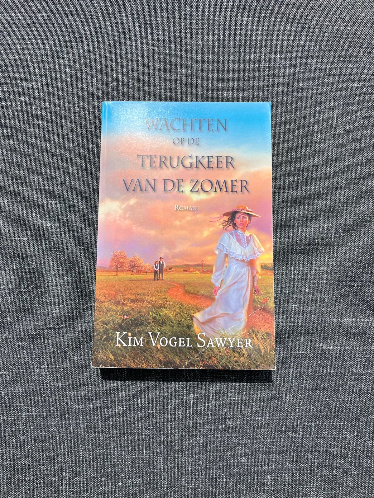 Wachten op de Terugkeer van de Zomer - Kim Vogel Sawyer, Ophalen of Verzenden, Gelezen