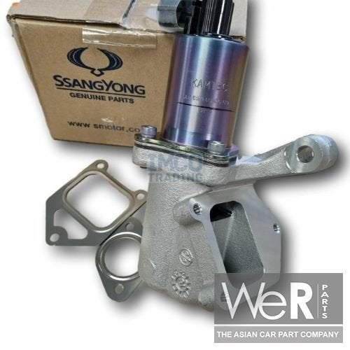 EGR Klep met pakkingen - SsangYong Rexton, Kyron, Actyon, Ro, -, -, Nieuw, Ophalen of Verzenden