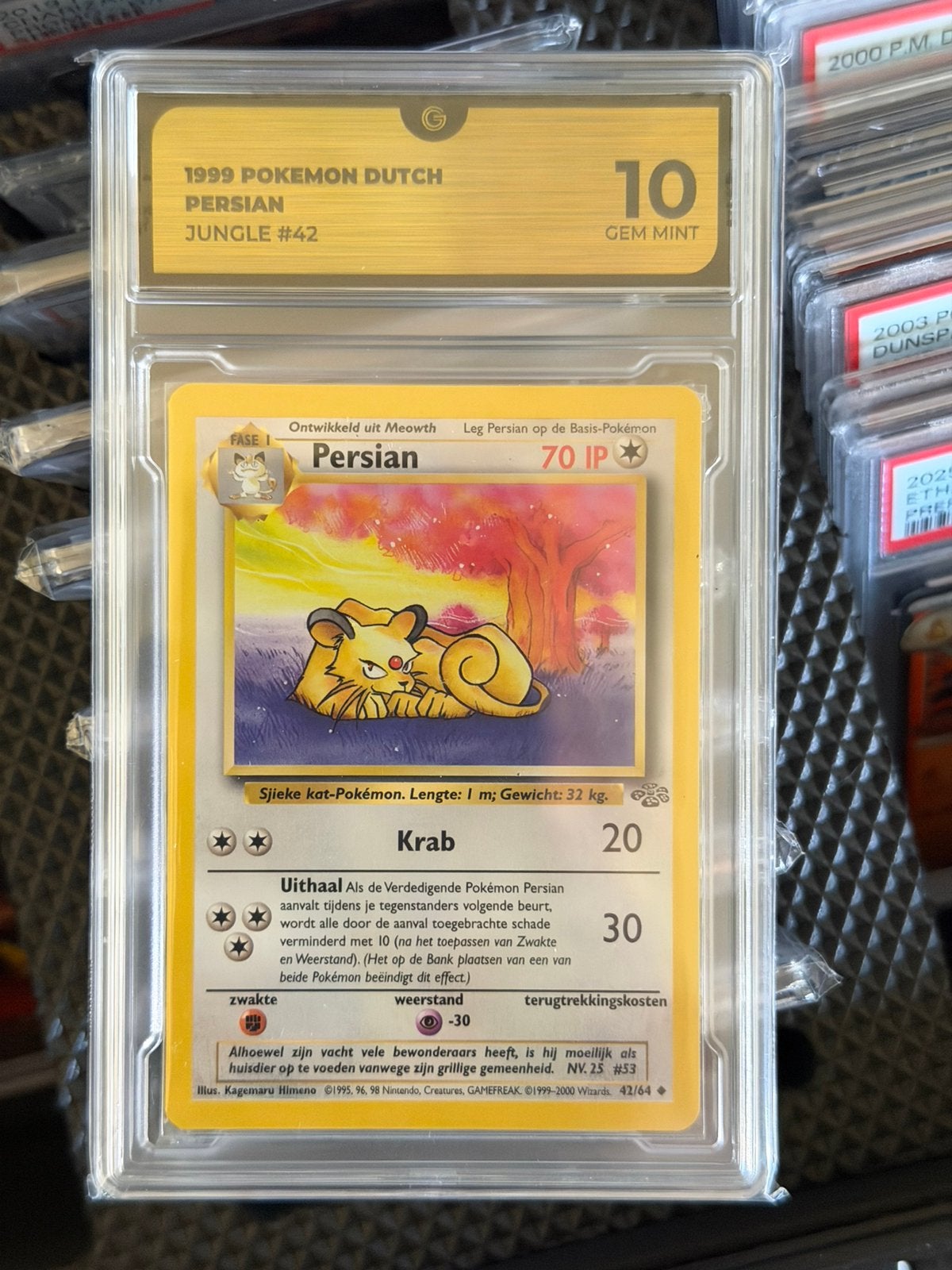 Pokémon Persian Jungle 42 Dutch nederlands GEM MINT 10 Grade, Hobby en Vrije tijd, Verzamelkaartspellen | Pokémon, Ophalen of Verzenden