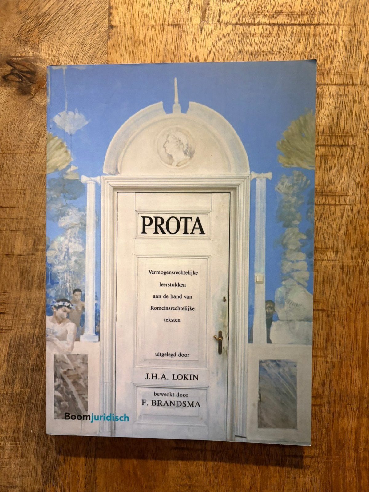 J.H.A. Lokin - Prota, Ophalen of Verzenden, Zo goed als nieuw, J.H.A. Lokin