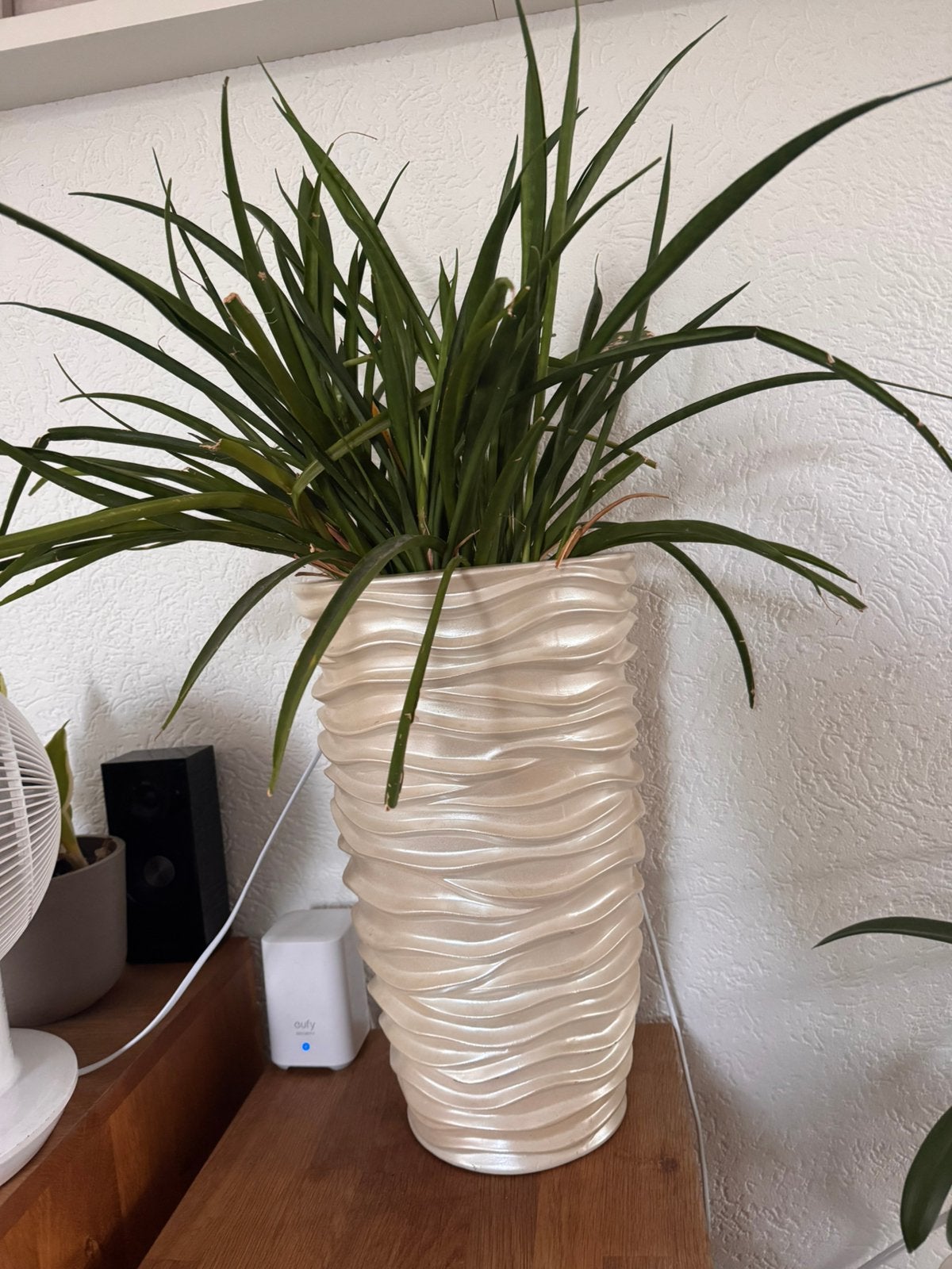 Mooie hoge bloempot, Overige materialen, Gebruikt, Rond, Binnen