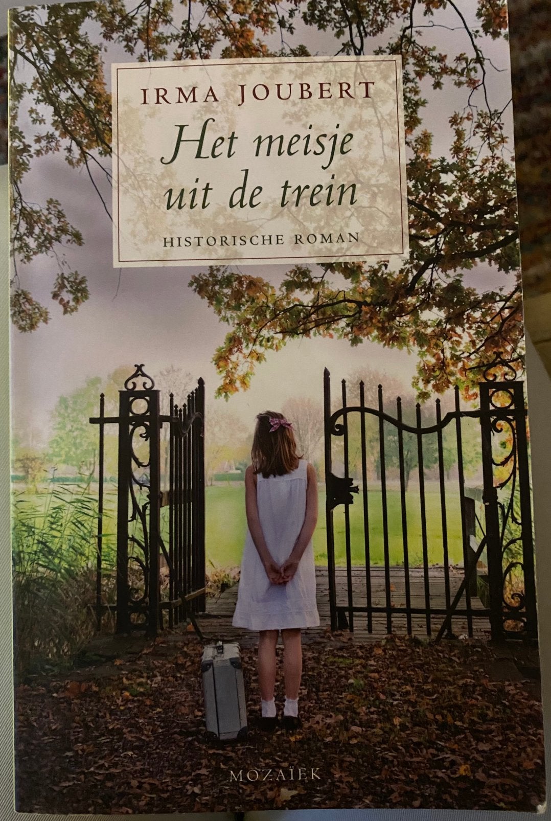 Irma Joubert - Het meisje uit de trein, Ophalen of Verzenden, Zo goed als nieuw, Irma Joubert