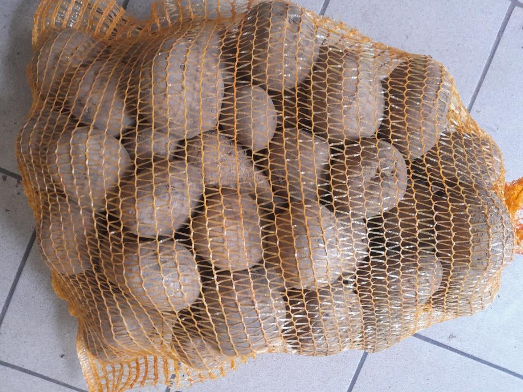 Aardappelen, Diversen, Levensmiddelen, Ophalen