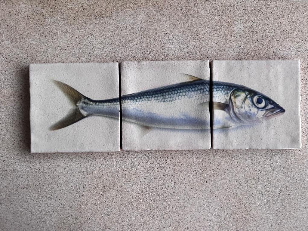 Tegels Haring, Antiek en Kunst, Antiek | Wandborden en Tegels, Ophalen of Verzenden