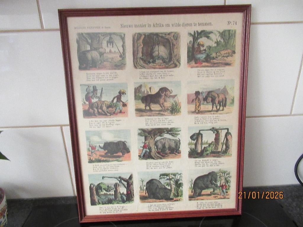 MEIJERS PRENT-NIEUWE MANIER AFRIKA WILDE DIEREN TEMMEN-1881, Ophalen of Verzenden