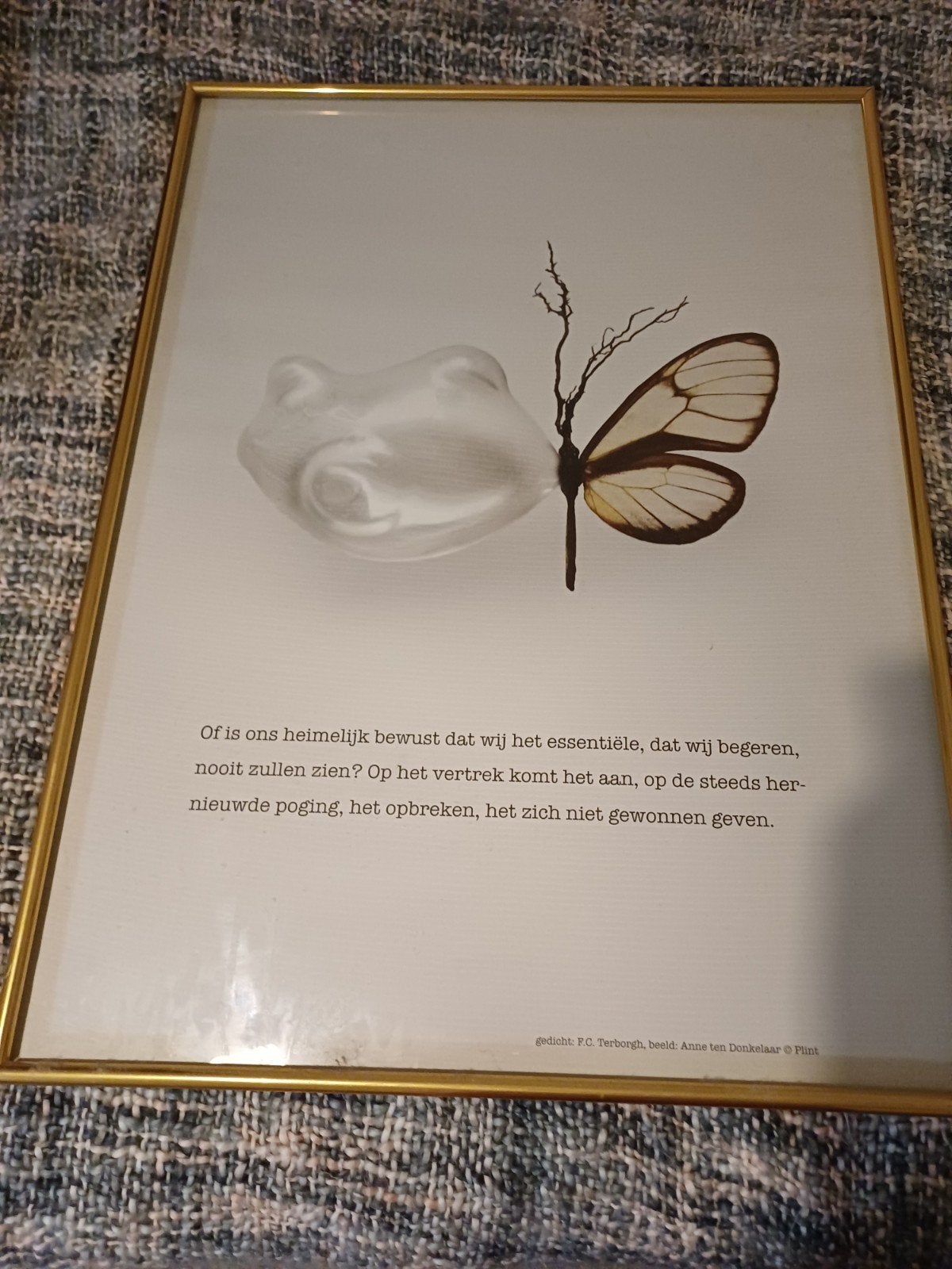 Pöezie poster ingelijst 60x80cm, Ophalen, 50 tot 75 cm, Foto of Poster, 75 – 100