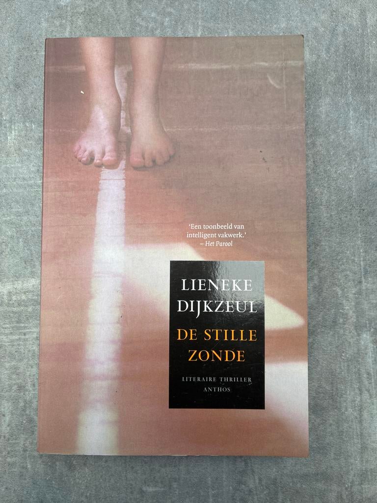 Lieneke Dijkzeul - De Stille Zonde (Literaire Thriller), Ophalen of Verzenden, Zo goed als nieuw, Nederland