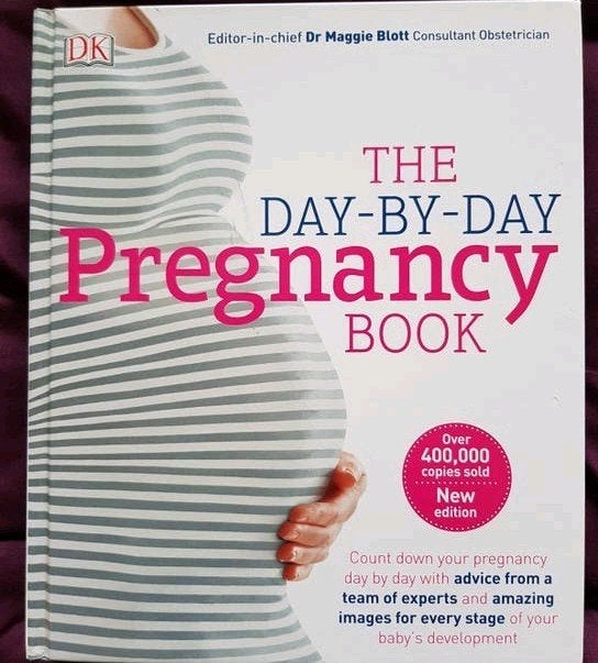 The Day-by-Day Pregnancy Book - Zwangerschapsboek, Boeken, Ophalen of Verzenden, Zo goed als nieuw, Zwangerschap en Bevalling