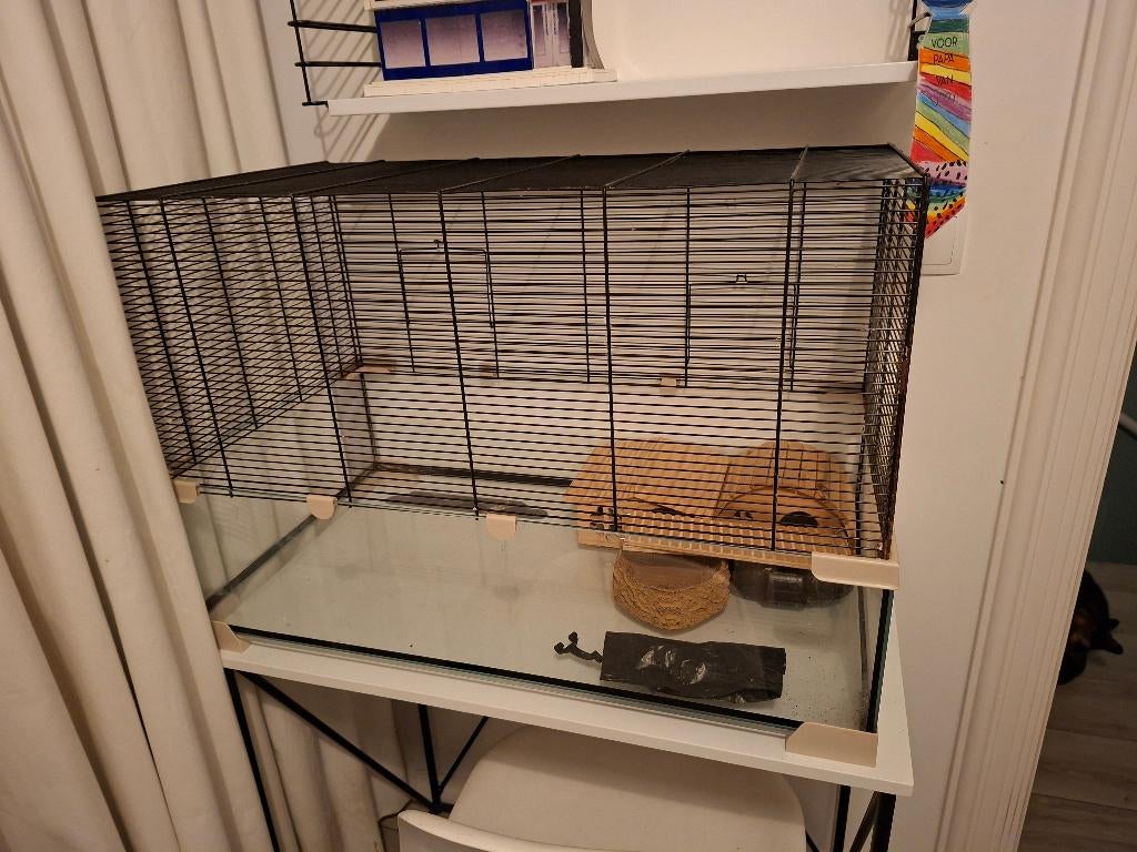 Ferplast Karat 80 Hamster / Muis hok  30 euro, Ophalen, Gebruikt, 60 tot 90 cm, Muis