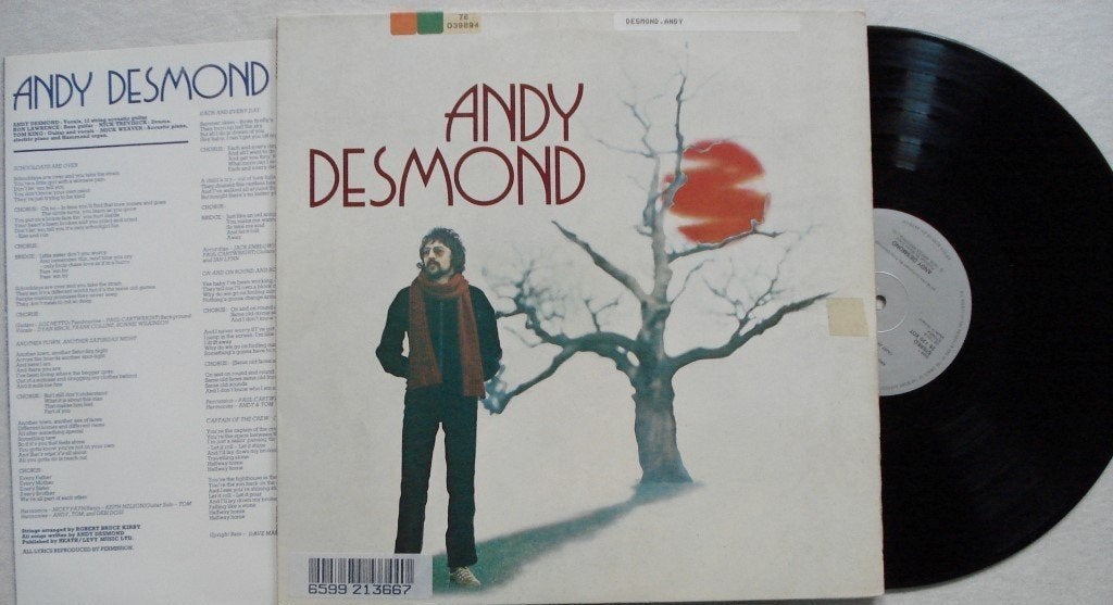 Andy Desmond, Beschermende buitenhoes, LP, Gebruikt, Overige genres