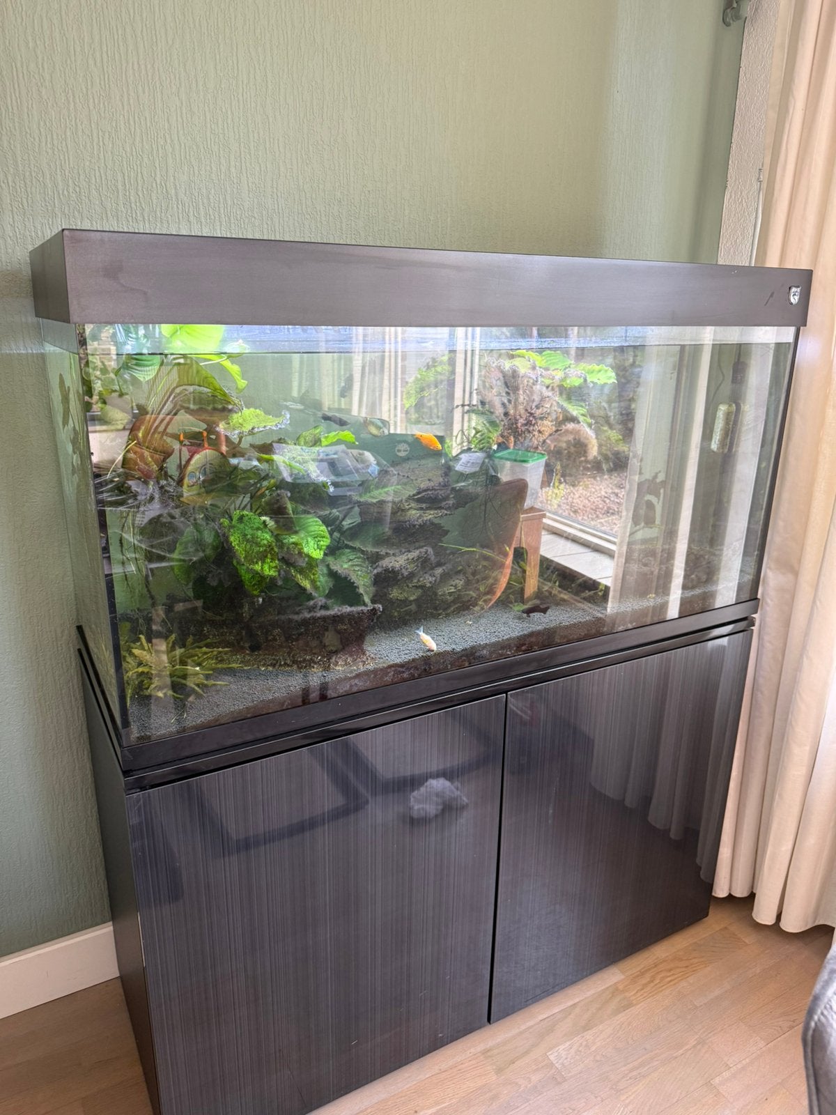 Trofis aquarium 120 cm (350 liter) incl. kast, filter en mee, Dieren en Toebehoren, Ophalen, Zo goed als nieuw, Gevuld zoetwateraquarium
