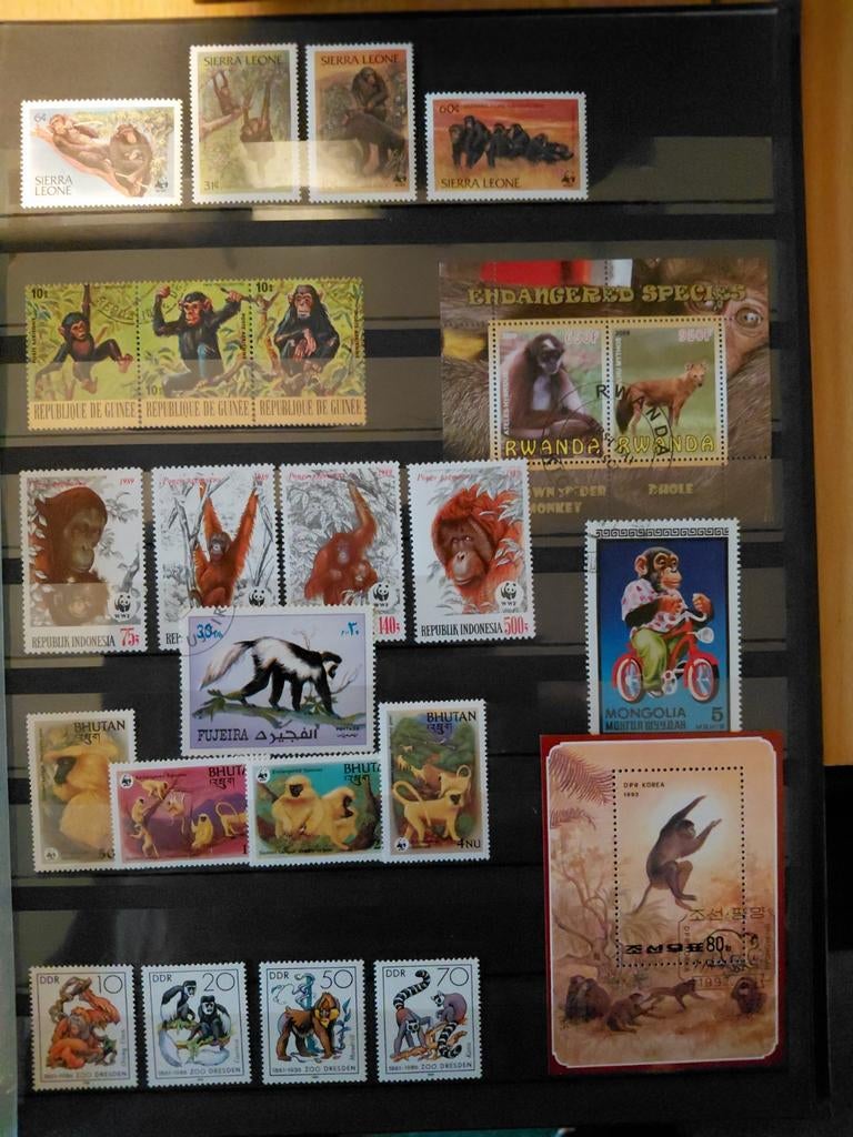 Postzegels collectie aap apen gorila orang oetang, Ophalen of Verzenden, Overige thema's