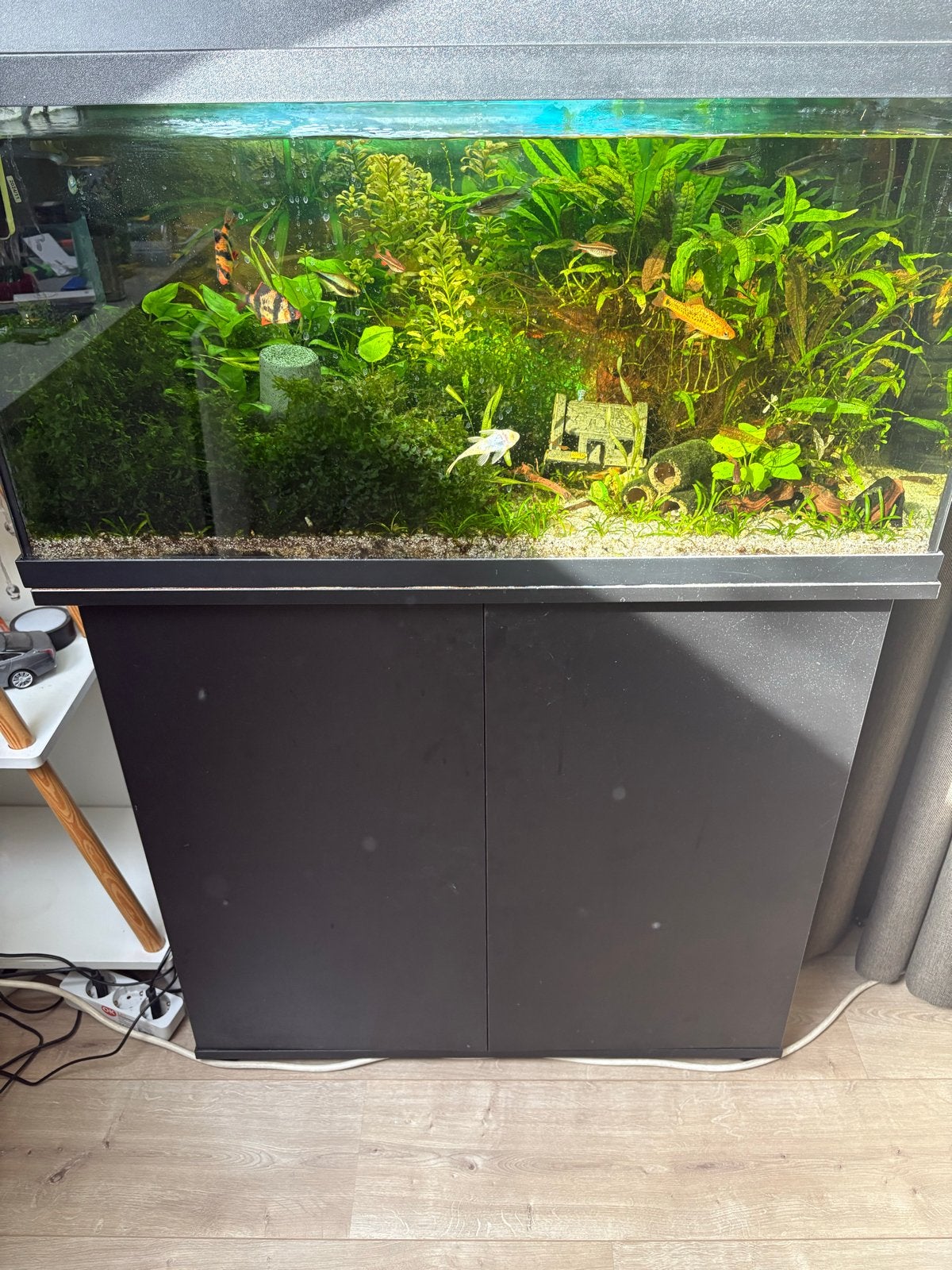 Juwel 80 overcompleet! Lees beschrijving!, Ophalen, Gebruikt, Gevuld zoetwateraquarium, Pomp