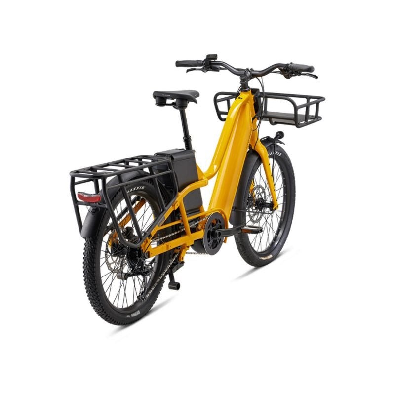 Momentum PakYak E+ longtail, Ophalen, Nieuw, Giant, Minder dan 47 cm