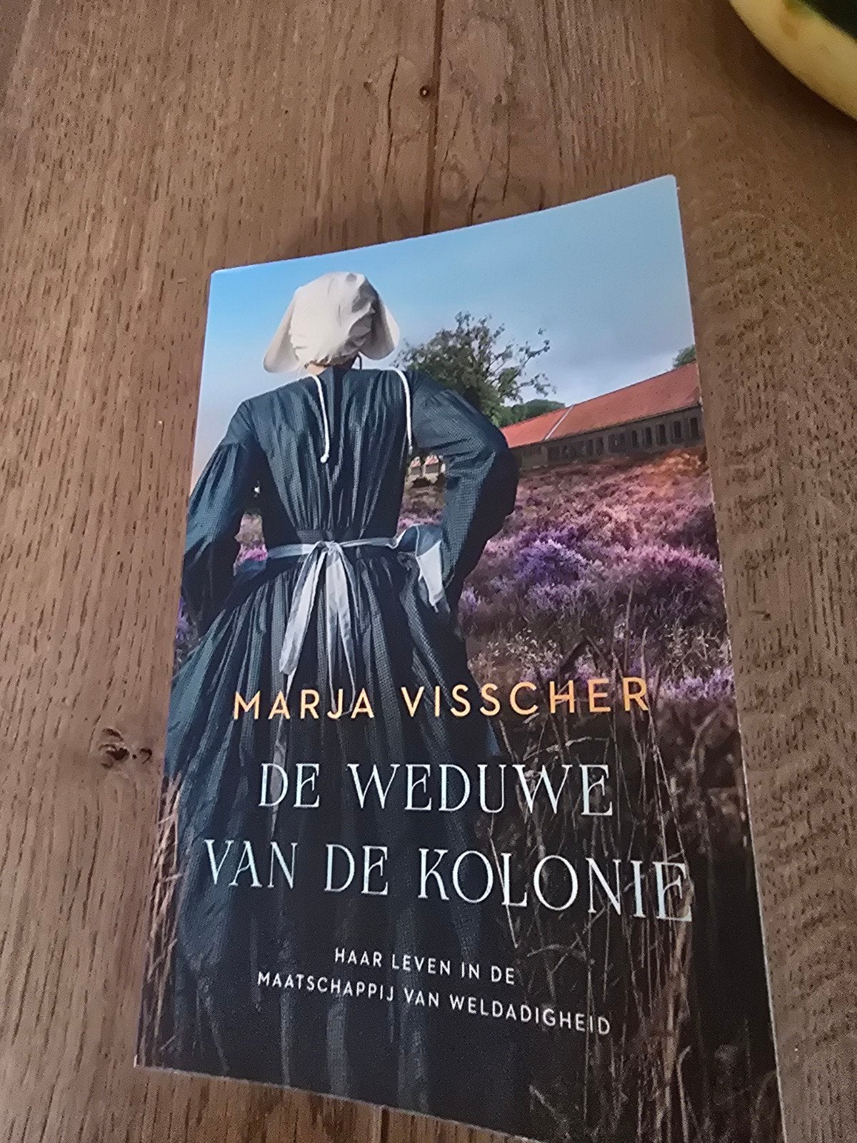 De Weduwe van de Kolonie - Marja Visscher, Ophalen of Verzenden, Zo goed als nieuw, Marja Visscher