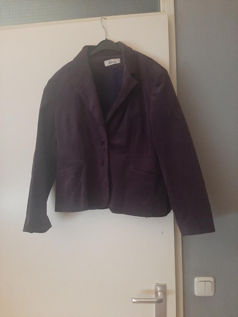 Leuk paars kort jasje, Ophalen, Zo goed als nieuw, Maat 38/40 (M), Paars