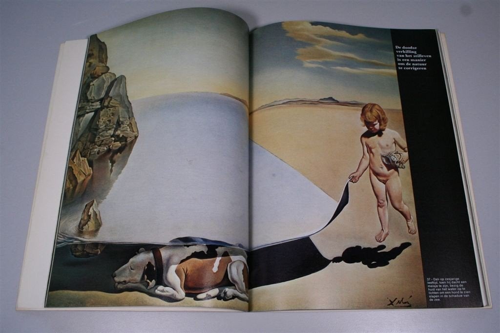 Dali... Dali... Dali... [1974] — Surrealisme Kunstboek, Ophalen of Verzenden, Gelezen