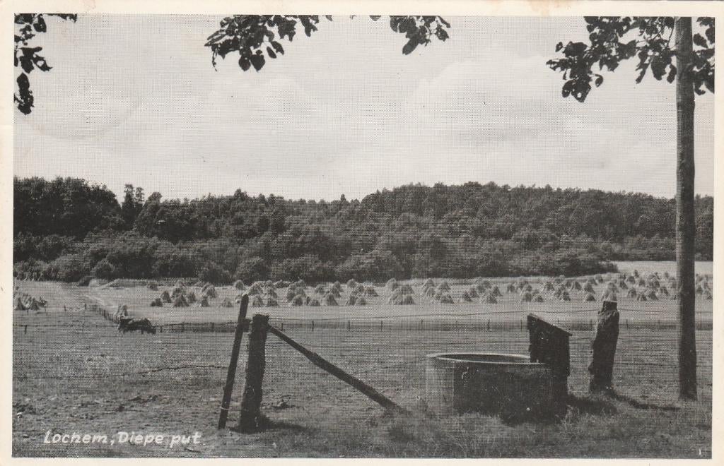 LOCHEM Diepe Put, Verzamelen, Ansichtkaarten | Nederland, Gelopen, Gelderland, 1960 tot 1980, Verzenden